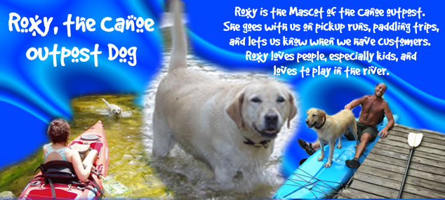 Roxy, the Canoe Outpost Dog